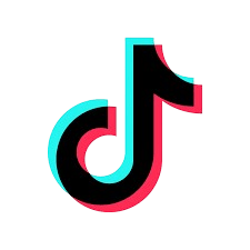 TikTok Icon